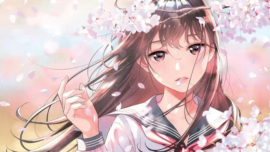 动漫狂欢节 免费观看